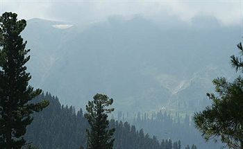 Hotel Zahgeer Continental Gulmarg Exteriör bild